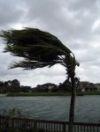 Ostrzeżenie o silnych wiatrach