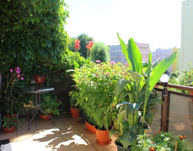 „Najładniejsze ogródki przydomowe oraz balkony na terenie miasta Lipna” – wyniki konkursu