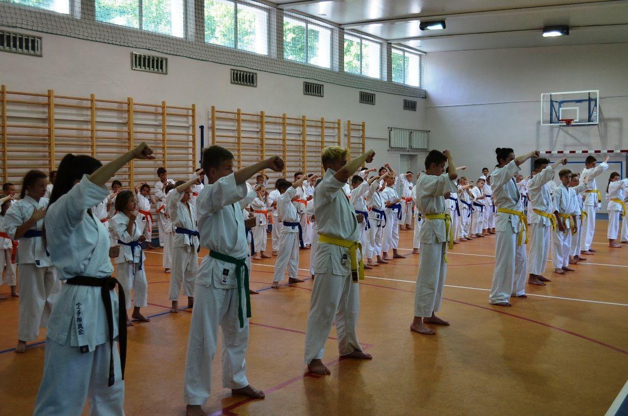 Zdj. nr. 2. Obóz letni Lipnowskiego Klubu Kyokushin Karate