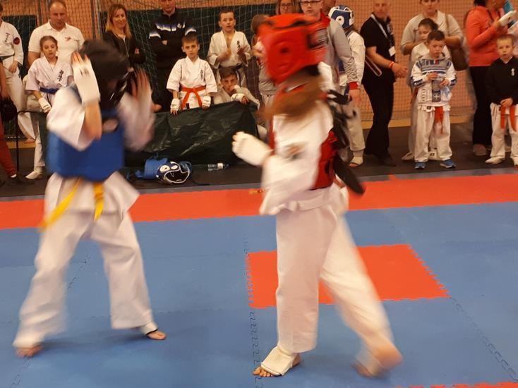 Zdj. nr. 11. Lipnowski Klub Kyokushin Karate - Wilkowice 2018