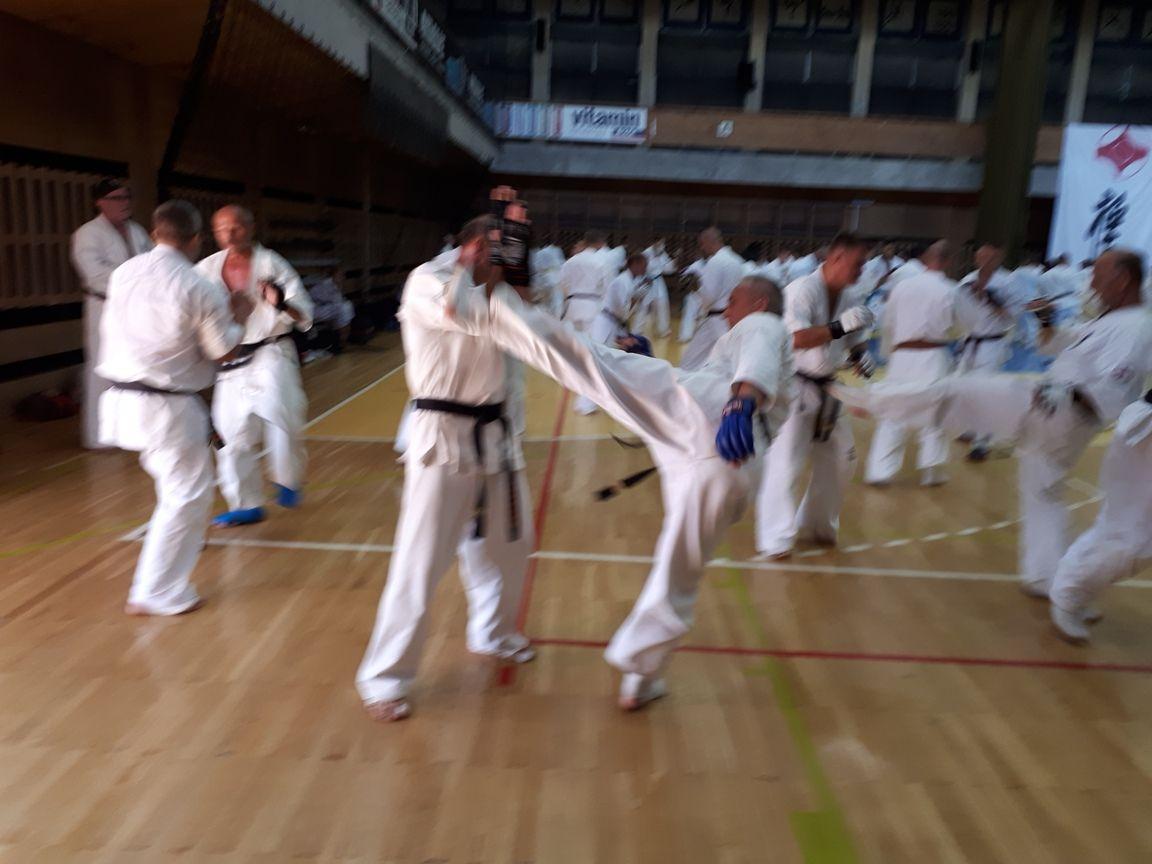 Zdj. nr. 3. Karate obóz 2018