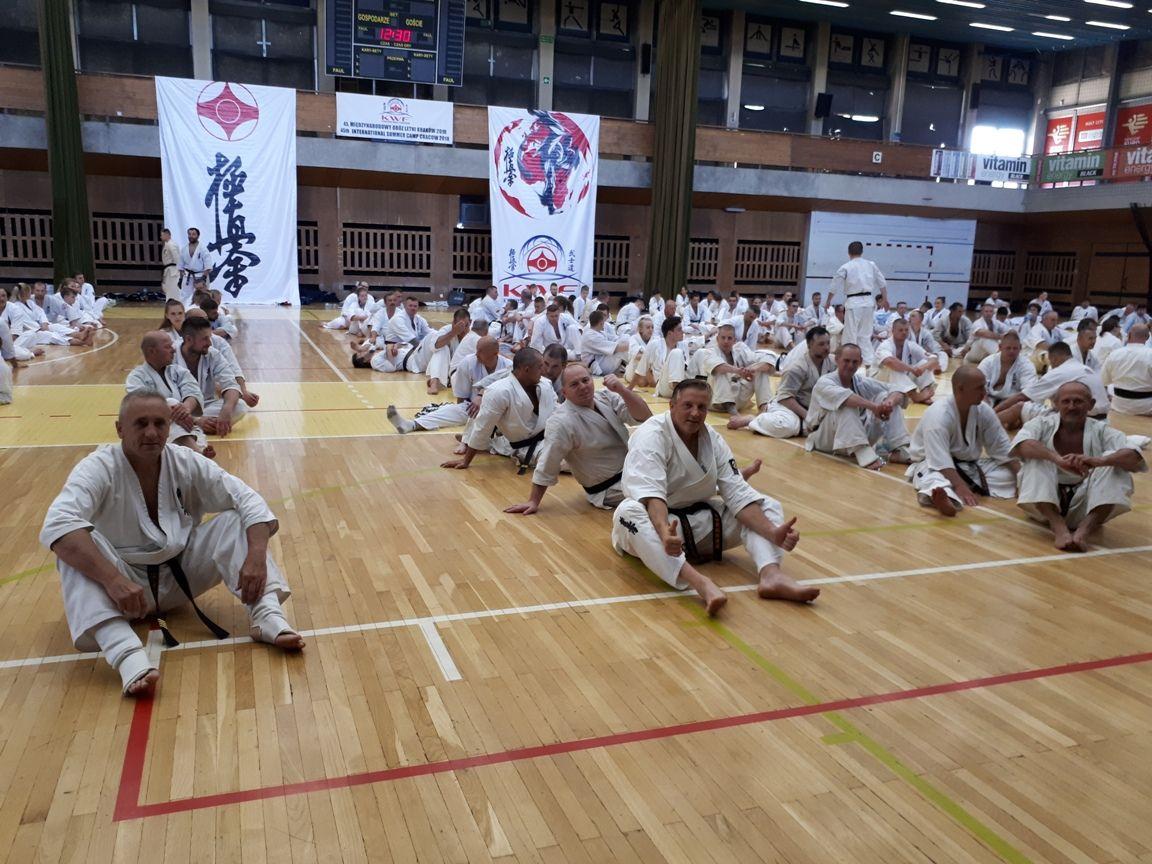 Zdj. nr. 6. Karate obóz 2018