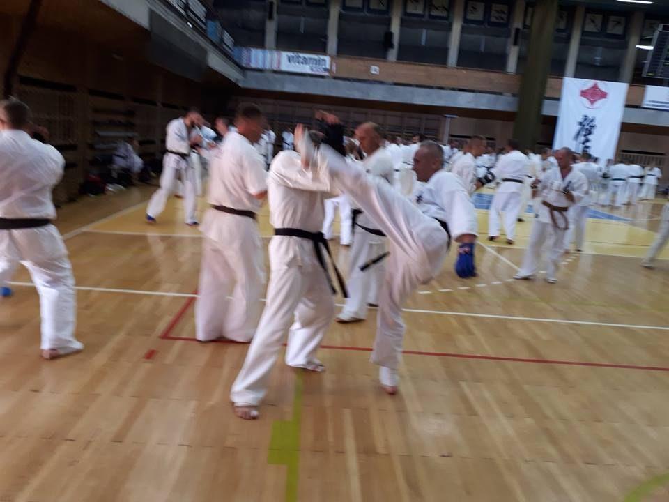 Zdj. nr. 5. Podsumowanie roku 2018 przez Lipnowski Klub Kyokushin Karate
