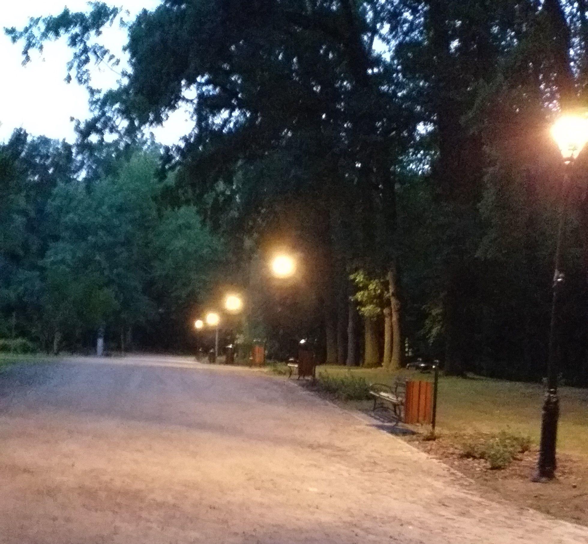 Zdj. nr. 1. Nowe lampy w Parku Miejskim w Lipnie