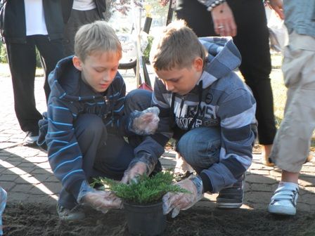 Edukacyjne porządkowanie