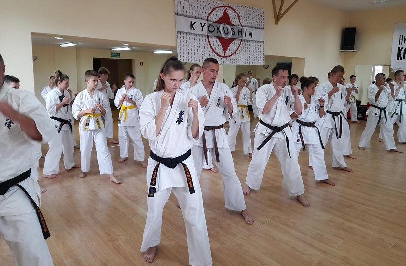 Seminarium szkoleniowe Karate Kyokushin