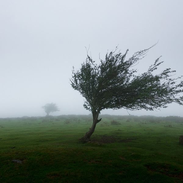 Ostrzeżenie meteorologiczne: silny wiatr