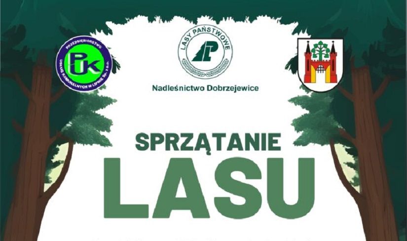 Sprzątanie Lasu