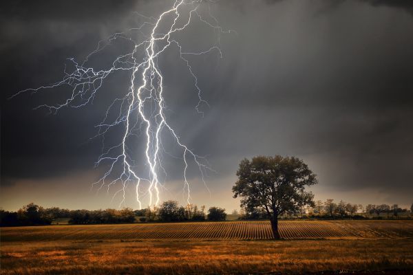 Ostrzeżenia meteorologiczne: burze 