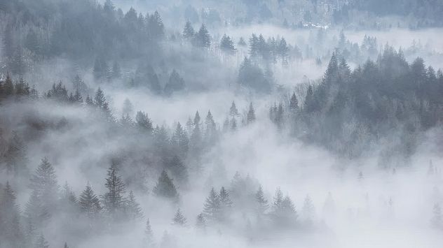 (Aktualizacja 4.12.2025 r.) Ostrzeżenia meteorologiczne: gęsta mgła