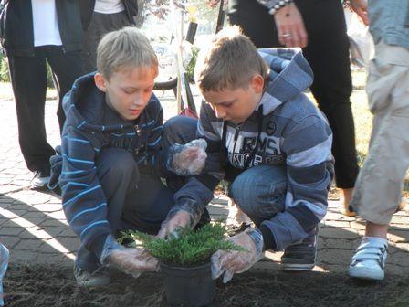 Edukacyjne porządkowanie