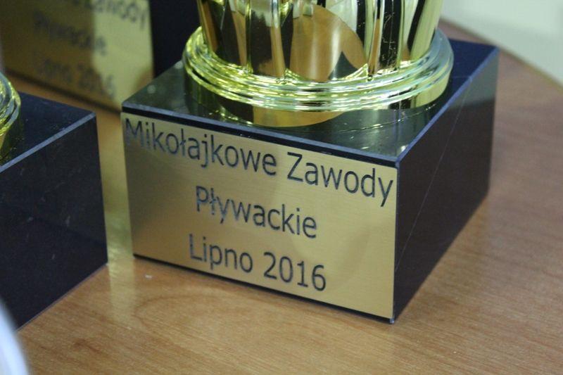 Zdj. nr. 2. Mikołajkowe zawody pływackie