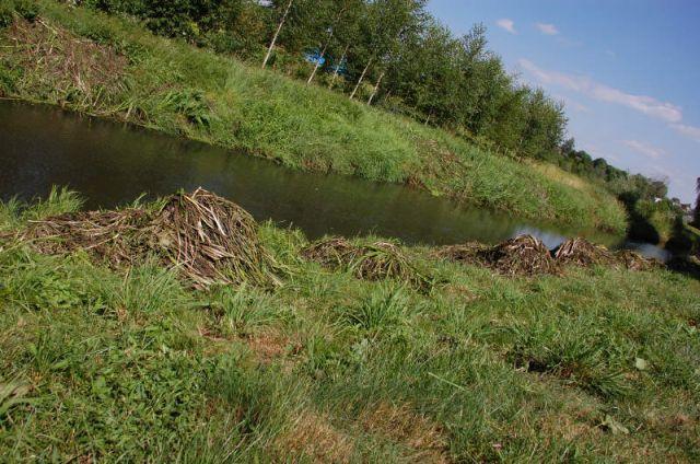 Zdj. nr. 2. Rzeka Mień pogłębiona