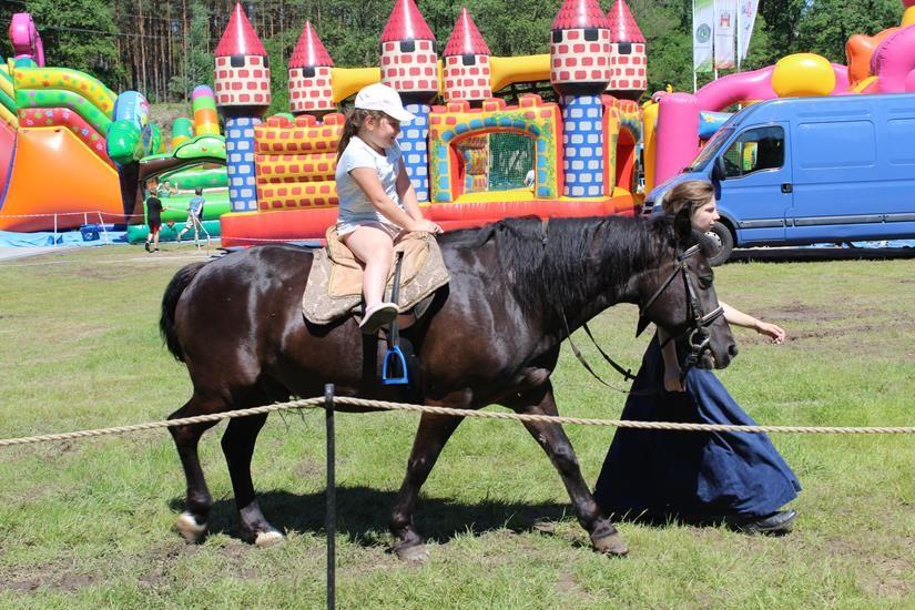 Zdj. nr. 35. Piknik rodzinny z okazji Dnia Dziecka