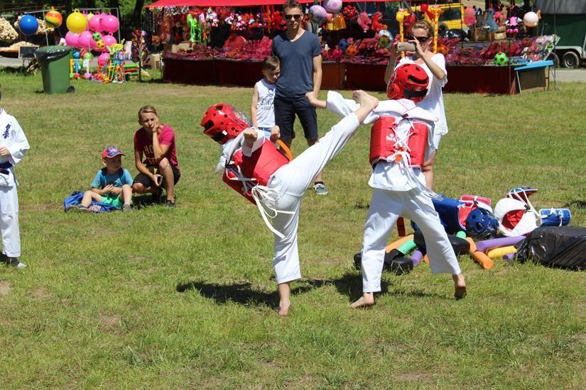 Zdj. nr. 100. Piknik rodzinny z okazji Dnia Dziecka