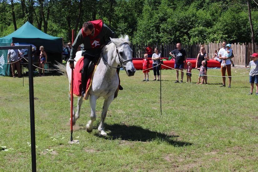 Zdj. nr. 113. Piknik rodzinny z okazji Dnia Dziecka