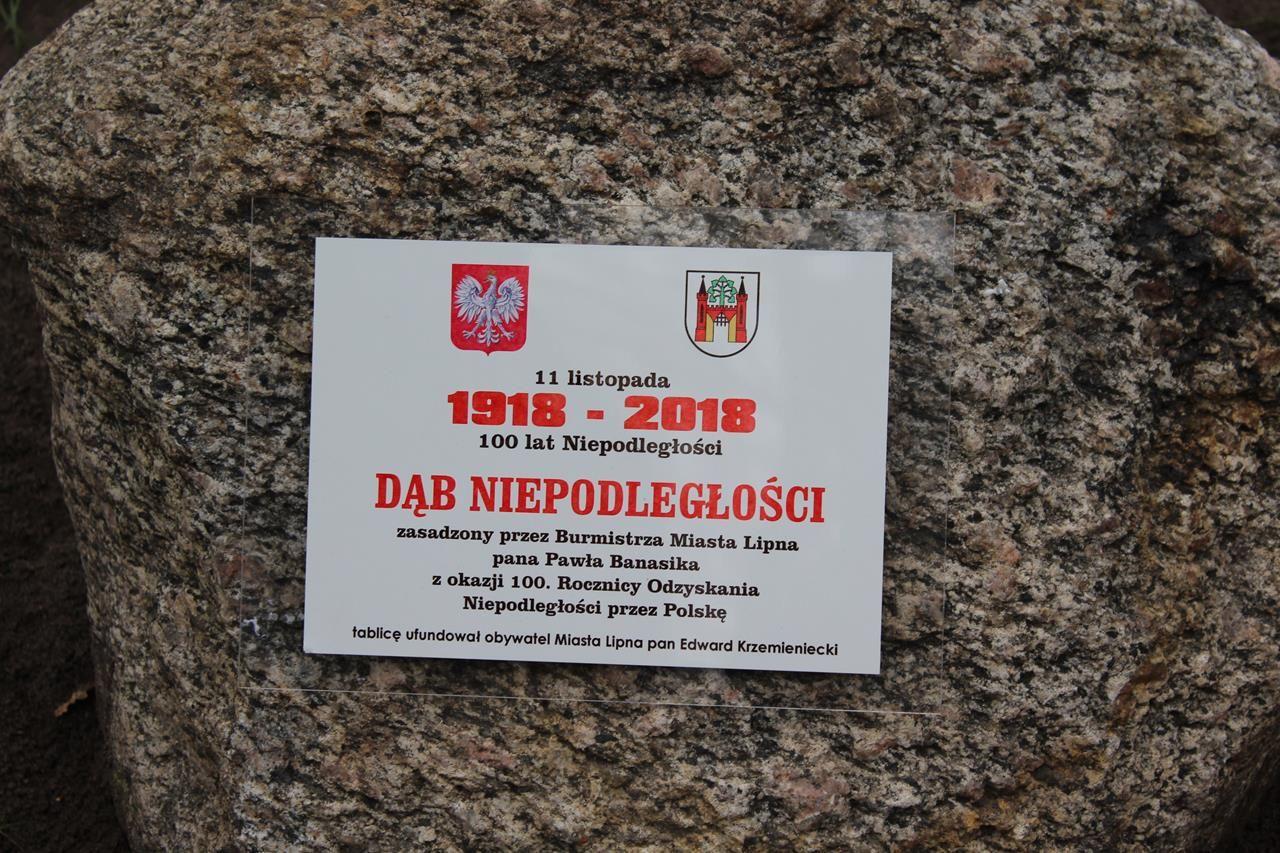 Zdj. nr. 102. 100 lat Niepodległej – Narodowe Święto Niepodległości