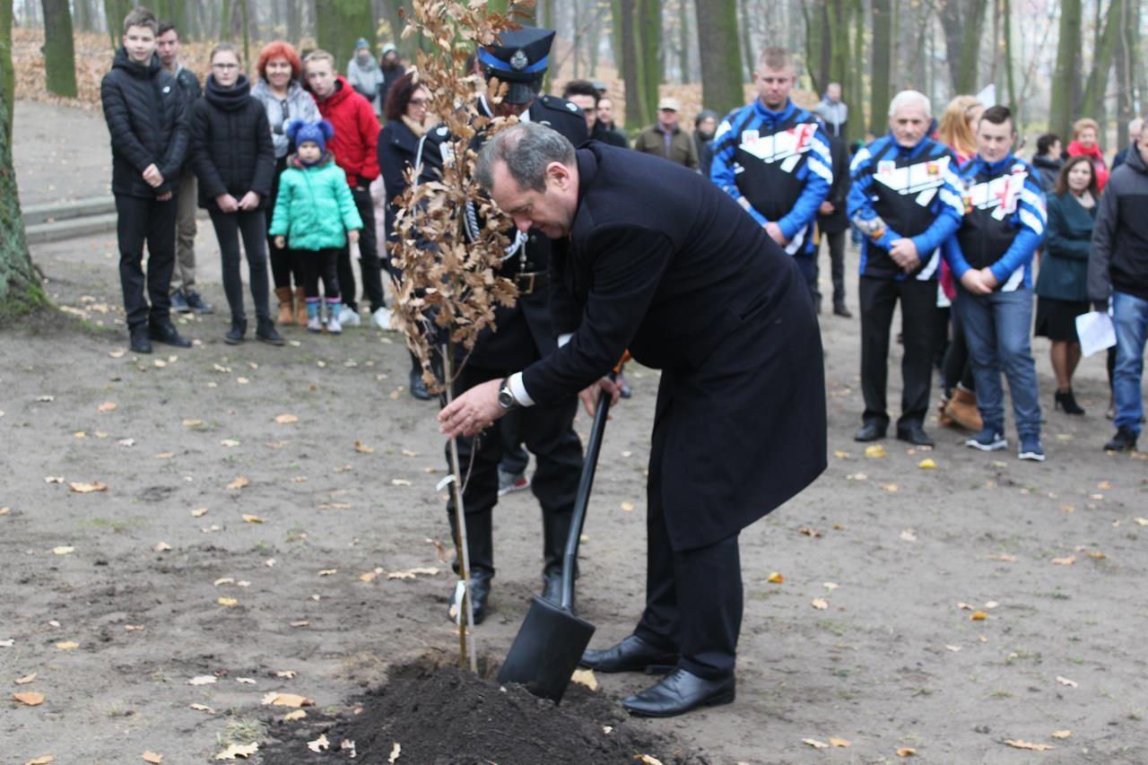 Zdj. nr. 103. 100 lat Niepodległej – Narodowe Święto Niepodległości