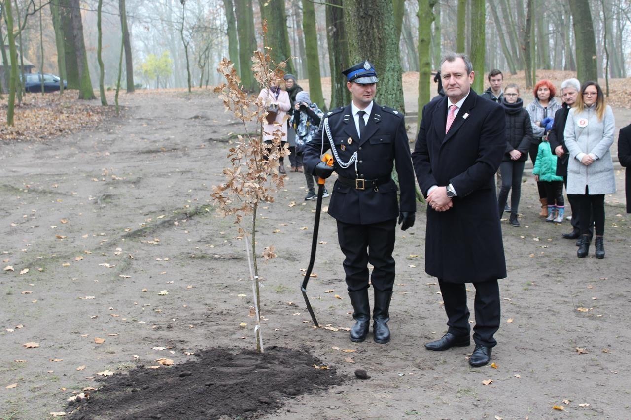 Zdj. nr. 106. 100 lat Niepodległej – Narodowe Święto Niepodległości