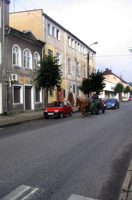 Zdj. nr. 30. Widzę Lipno