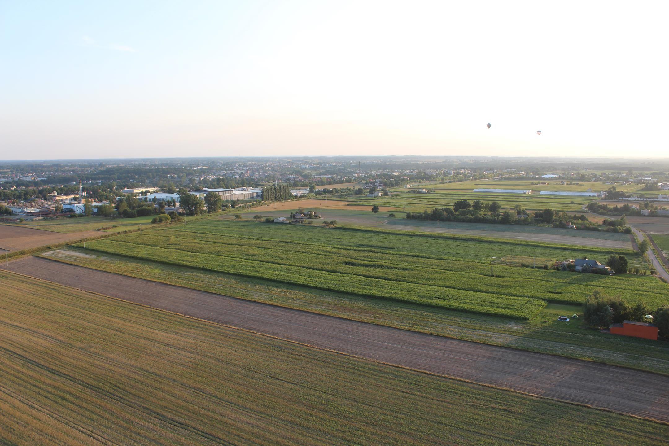 Zdj. nr. 115. Festiwal Balonowy 2019