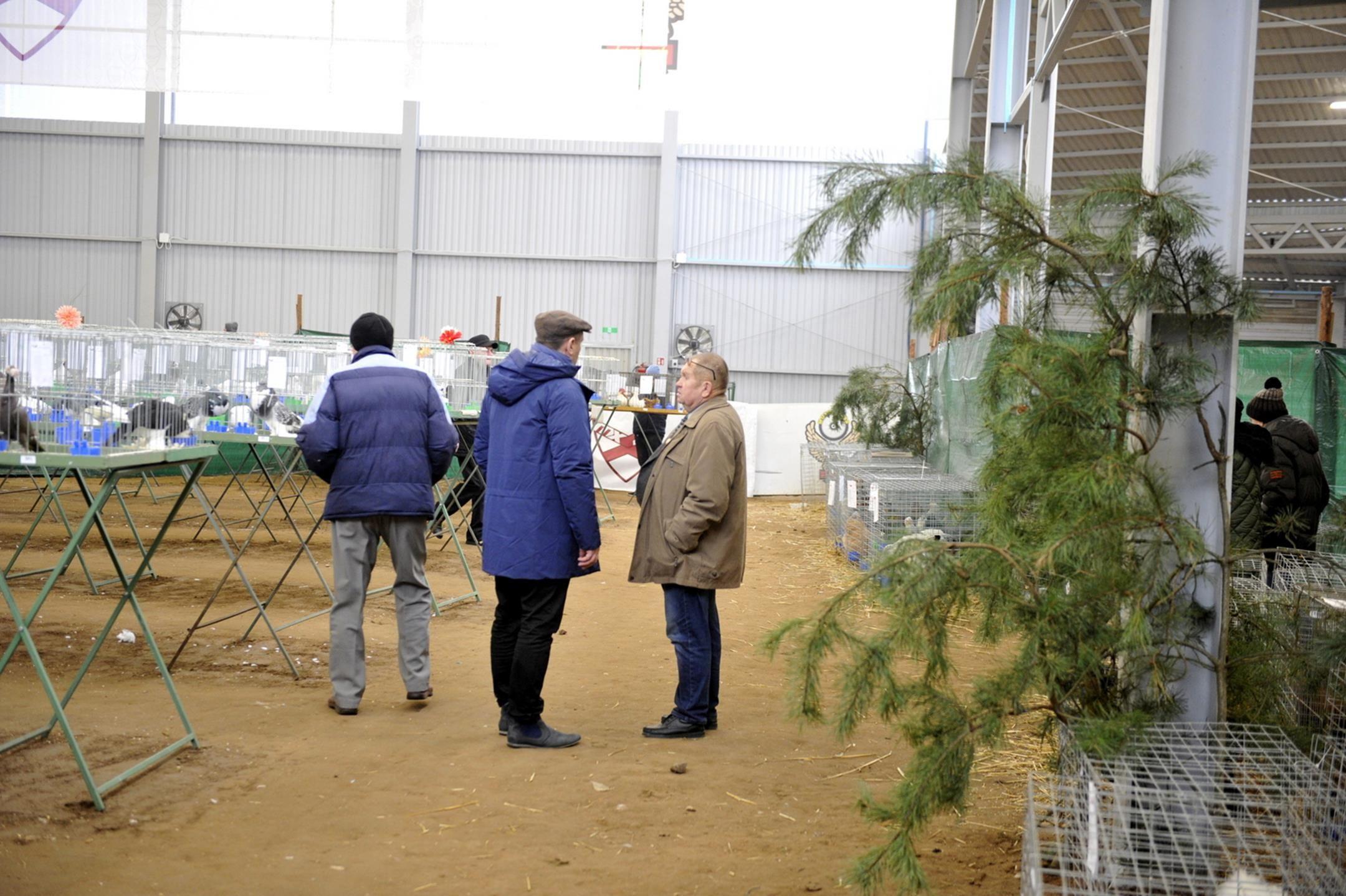 Zdj. nr. 2. Wystawa Włocławskiego związku Hodowców Gołębi Rasowych i Drobiu Ozdobnego