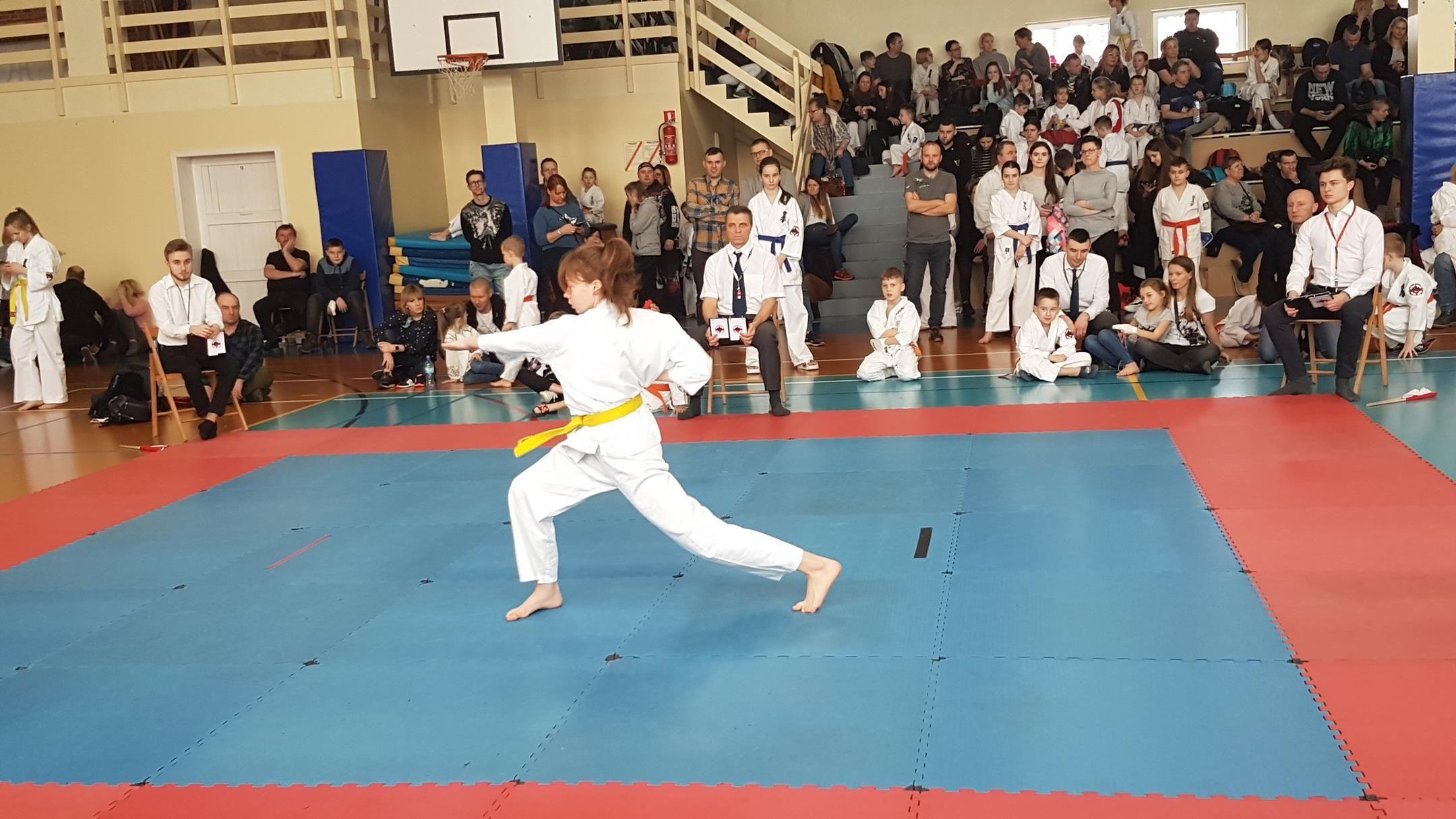 Zdj. nr. 6. Turniej Karate LKKK