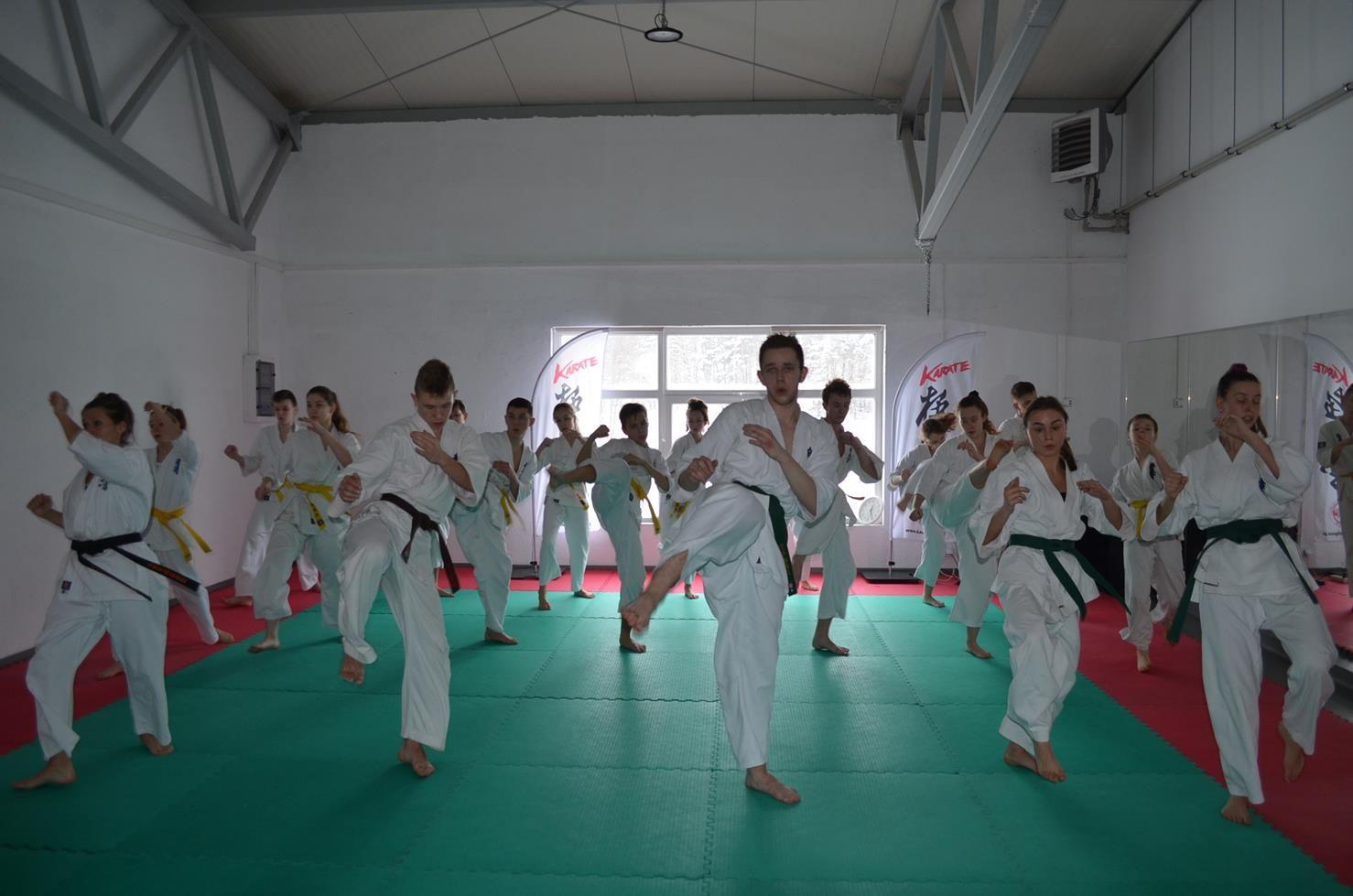 Trening zawodników klubów Kyokushin Karate - kliknięcie spowoduje powiększenie obrazka