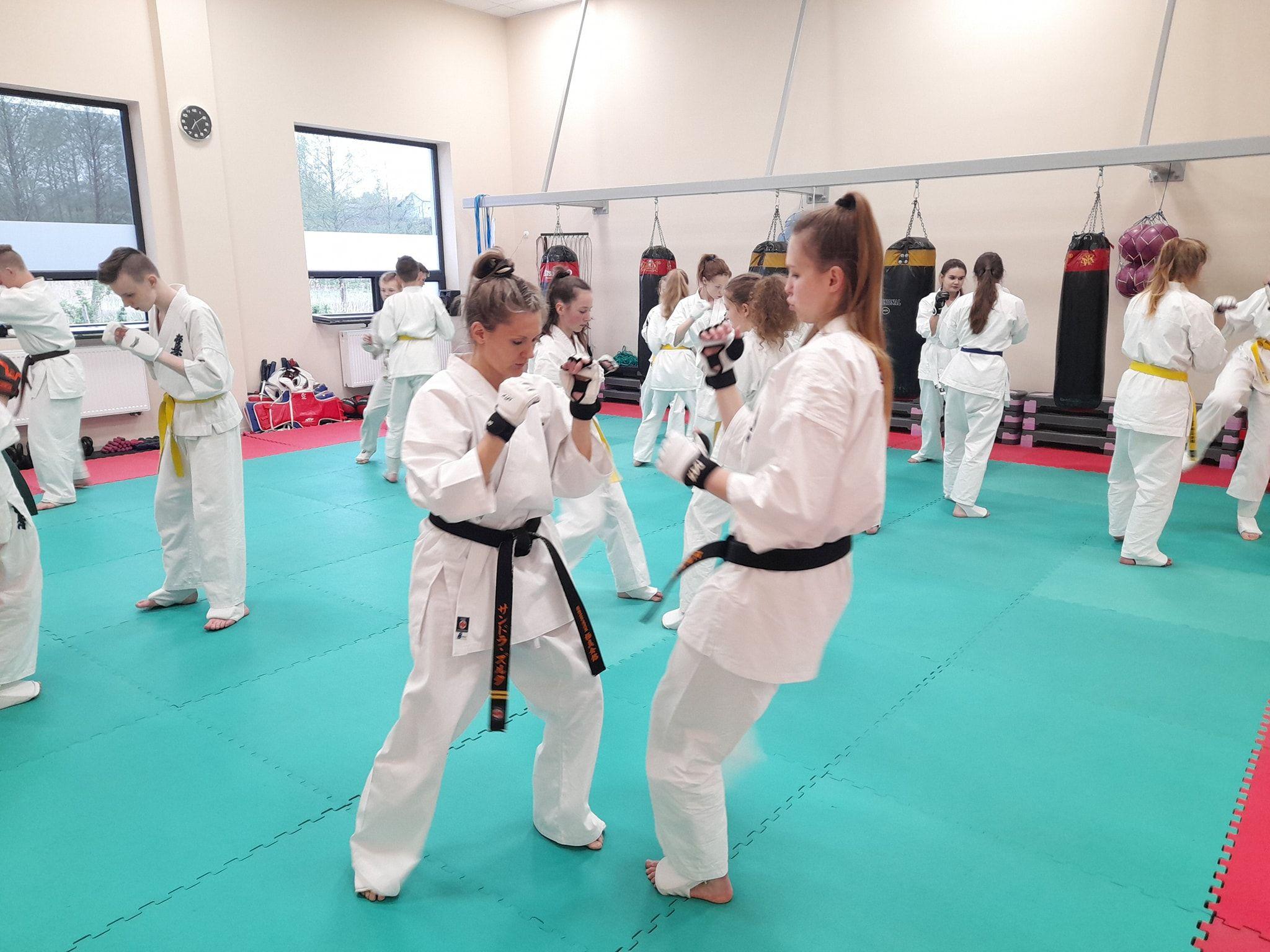 Seminarium szkoleniowe kumite Lipnowskiego Klubu Kyokushin Karate - kliknięcie spowoduje powiększenie obrazka