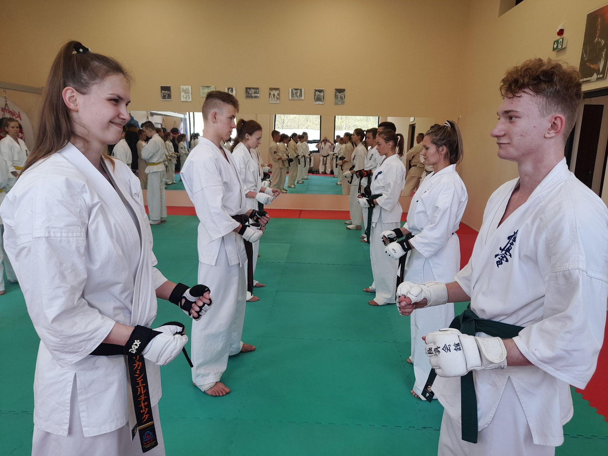 Seminarium szkoleniowe kumite Lipnowskiego Klubu Kyokushin Karate - kliknięcie spowoduje powiększenie obrazka