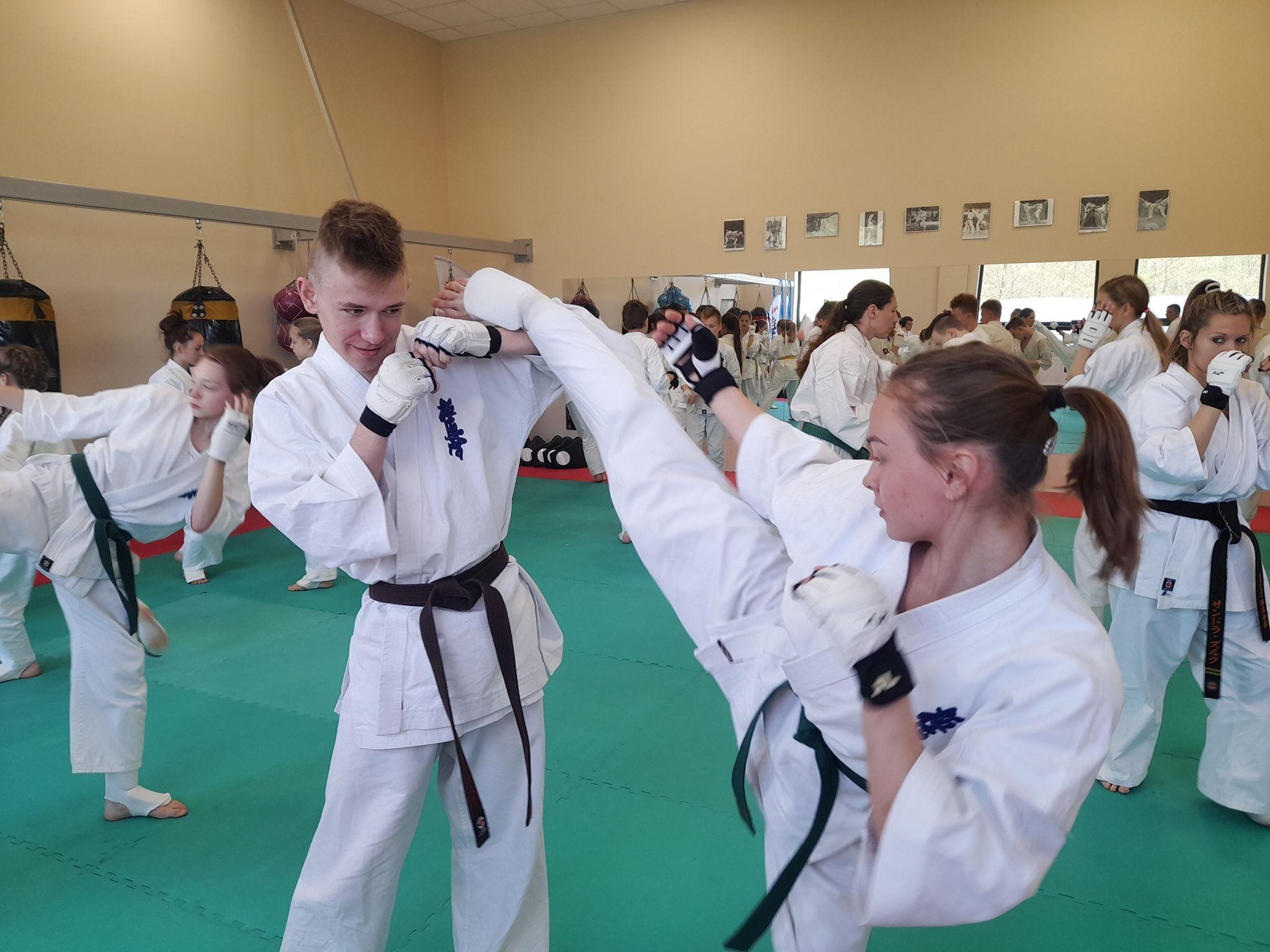 Seminarium szkoleniowe kumite Lipnowskiego Klubu Kyokushin Karate - kliknięcie spowoduje powiększenie obrazka