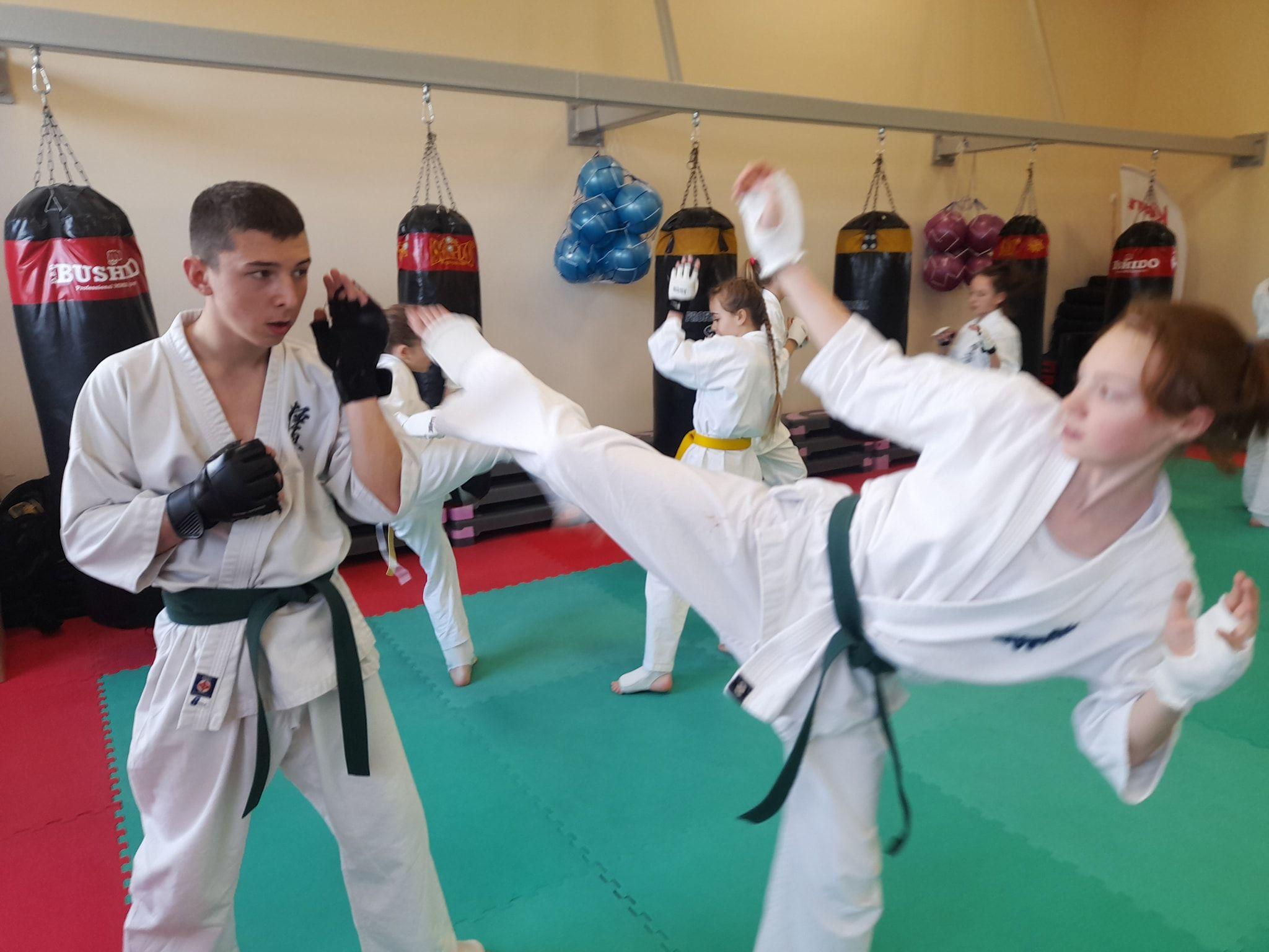 Seminarium szkoleniowe kumite Lipnowskiego Klubu Kyokushin Karate - kliknięcie spowoduje powiększenie obrazka