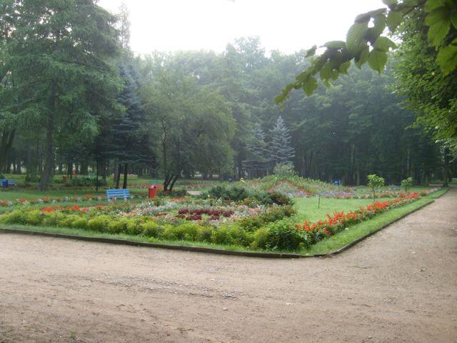 Zdj. nr. 5. Park Miejski