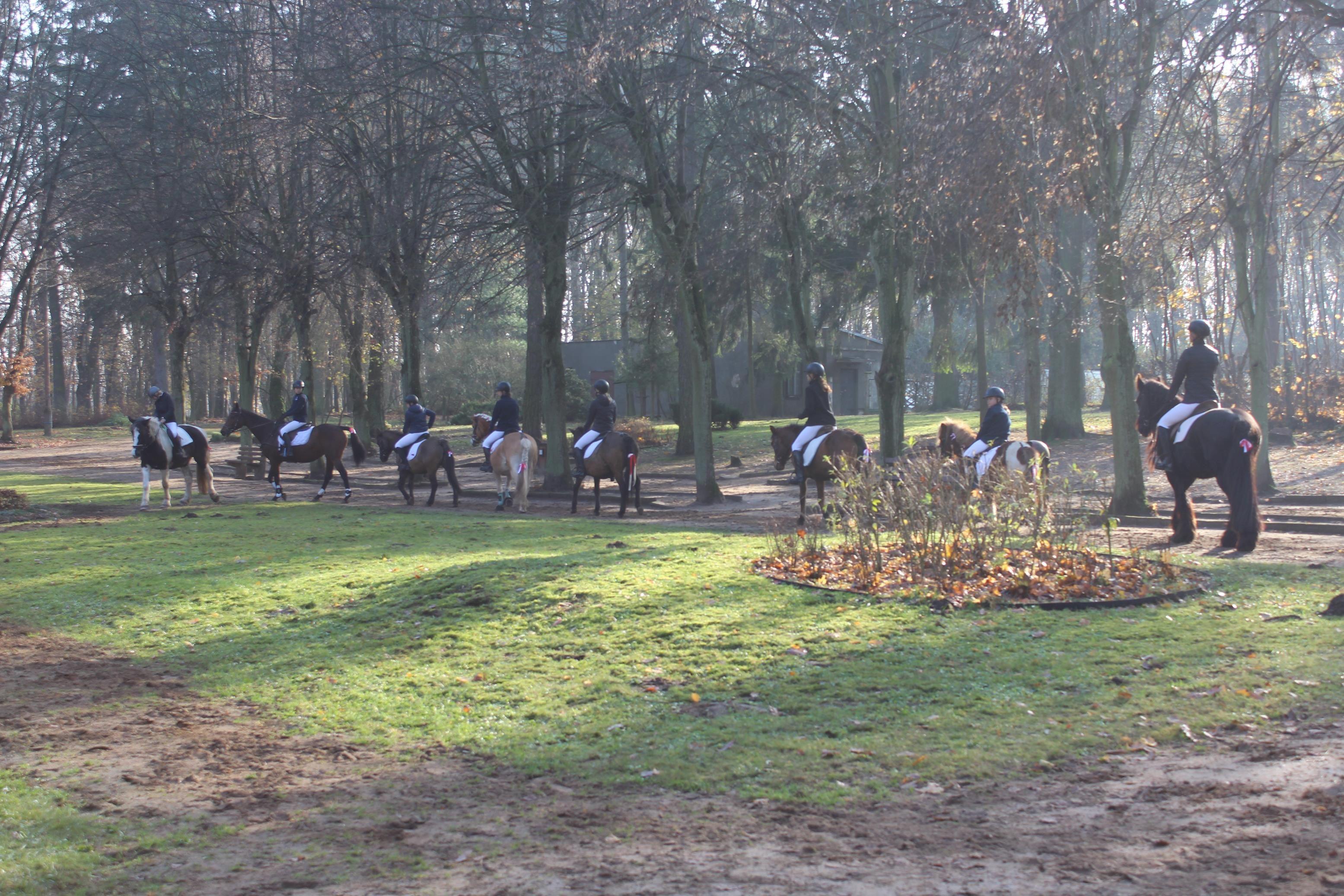 Zdj. nr. 175. Narodowe Święto Niepodległości - 11.11.2021 r.