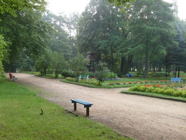 Zdj. nr. 6. Park Miejski