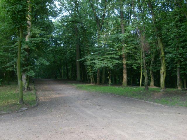 Zdj. nr. 7. Park Miejski