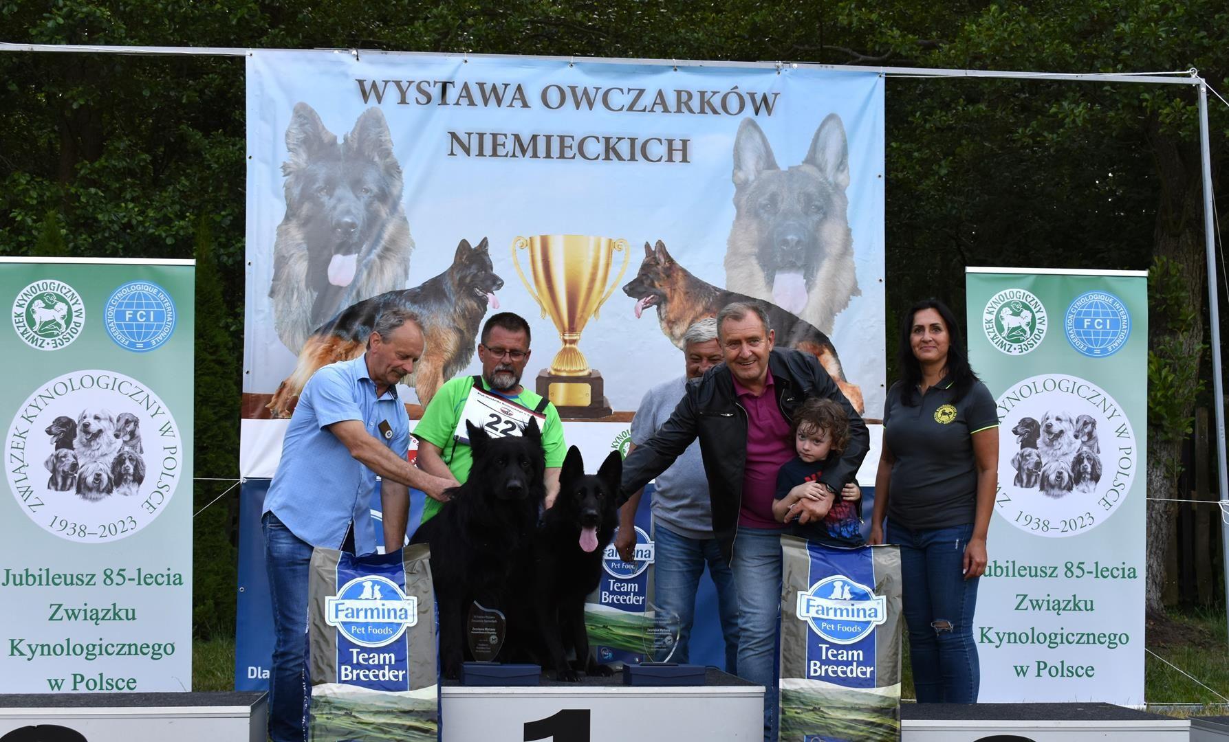 Zdj. nr. 4. IV Krajowa Wystawa Owczarków Niemieckich - 17 czerwca 2023 r.