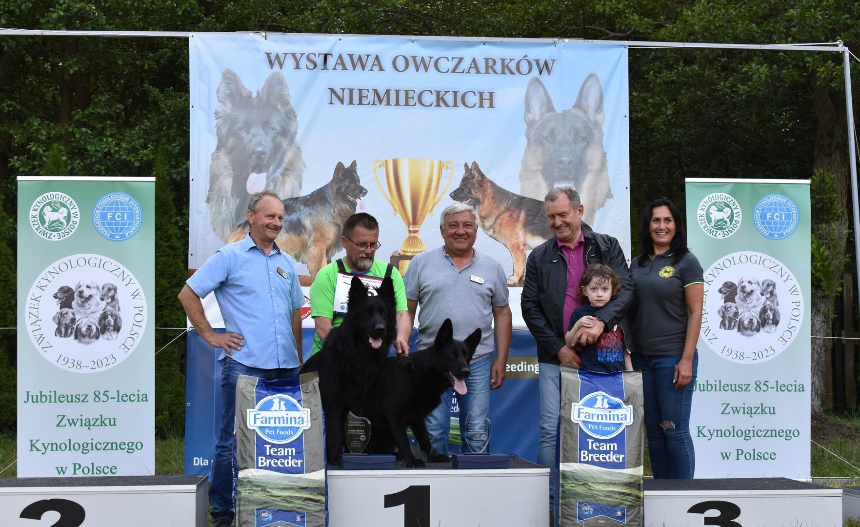 Zdj. nr. 5. IV Krajowa Wystawa Owczarków Niemieckich - 17 czerwca 2023 r.