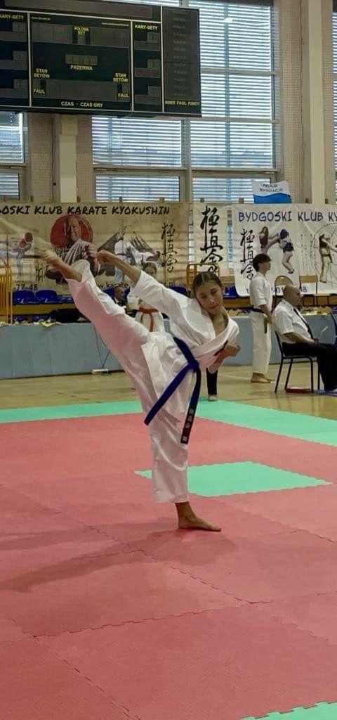 Zdj. nr. 9. Międzynarodowy Turniej Karate Kyokushin i Turniej Niepodległościowy w boksie olimpijskim - 9 i 10 listopada 2024 r.