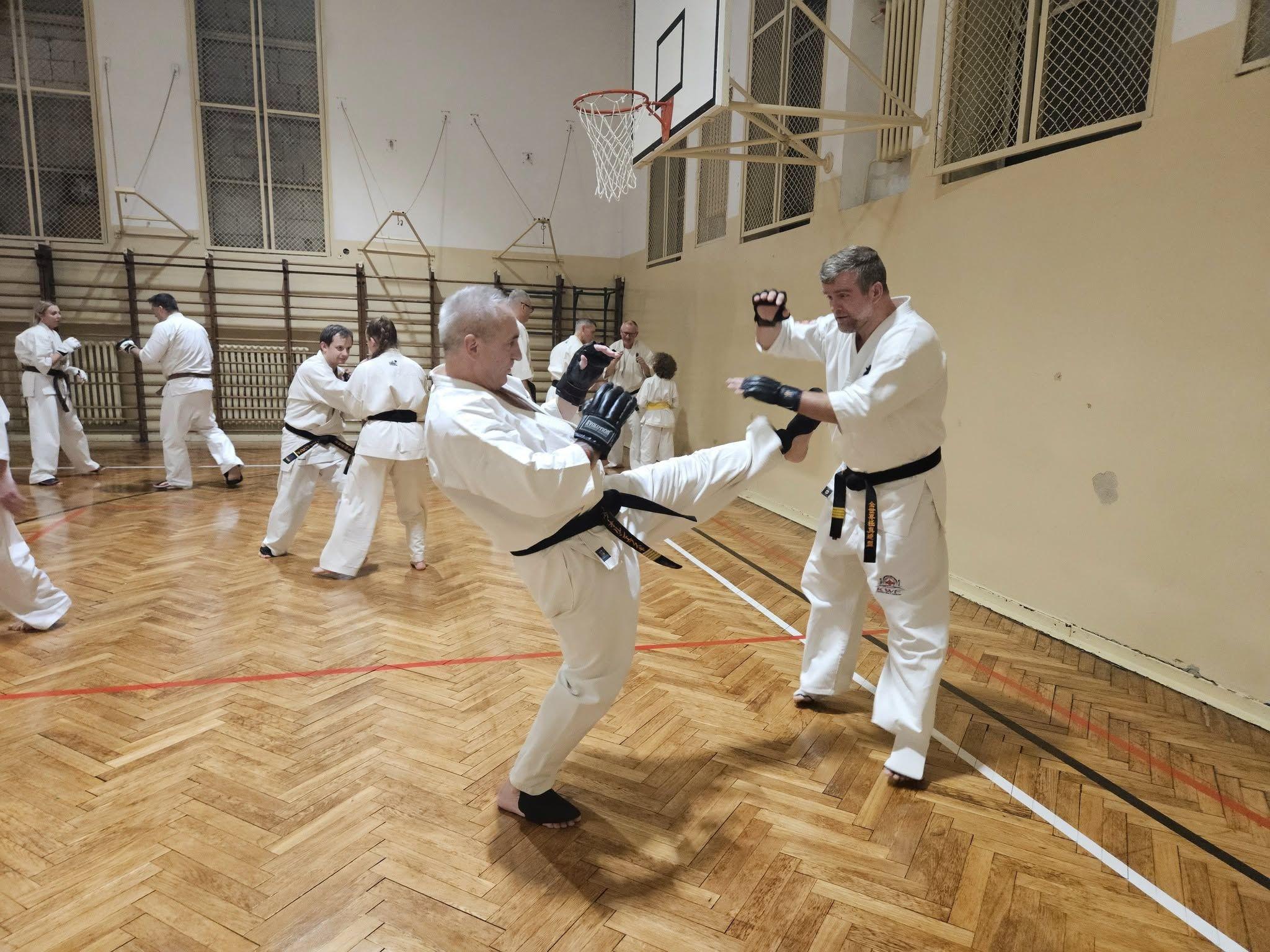 Zdj. nr. 4. Ogólnopolskie Seminarium Karate Kyokushin - 10-12.01.2025 r., Kraków