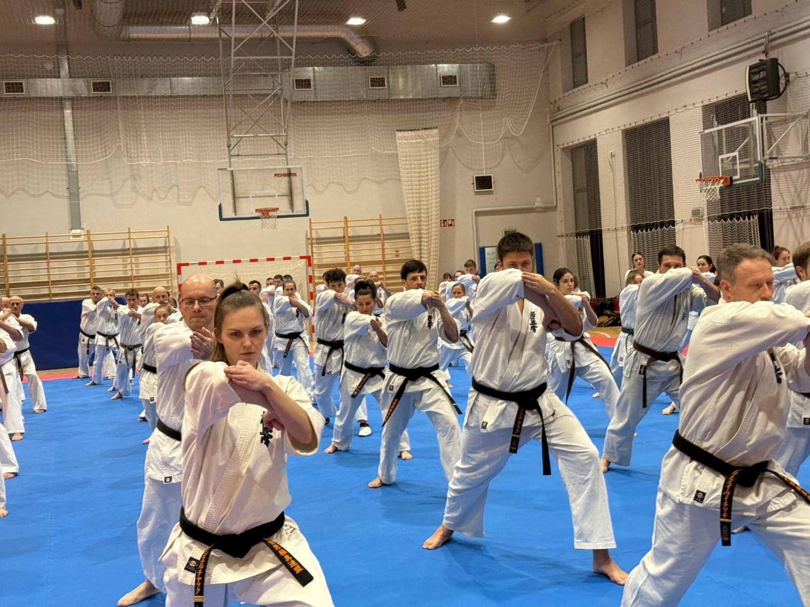 Zdj. nr. 9. Ogólnopolskie Seminarium Karate Kyokushin - 10-12.01.2025 r., Kraków