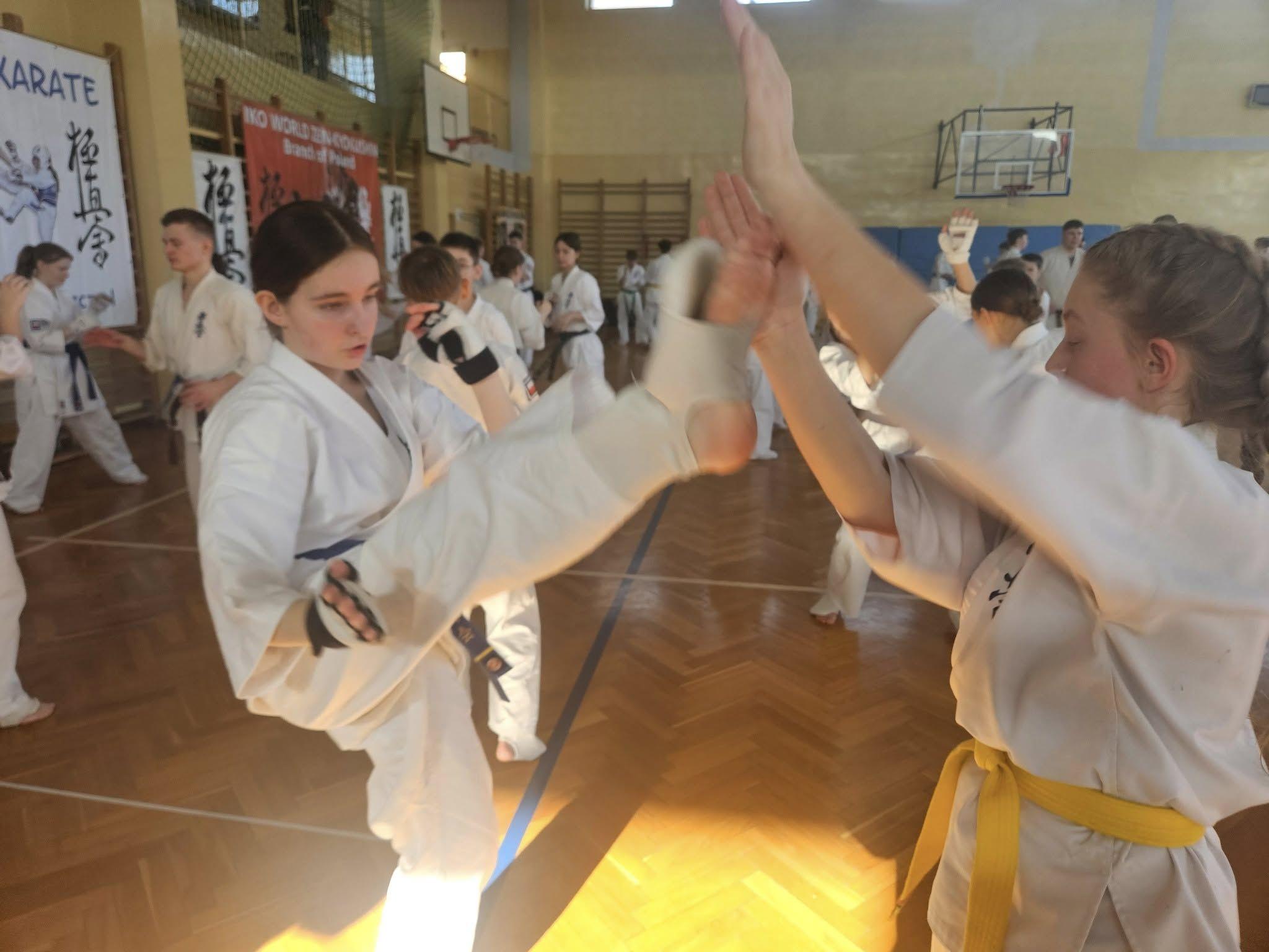 Seminarium kumite Karate Kyokushin - 22 lutego 2025 r., Bydgoszcz