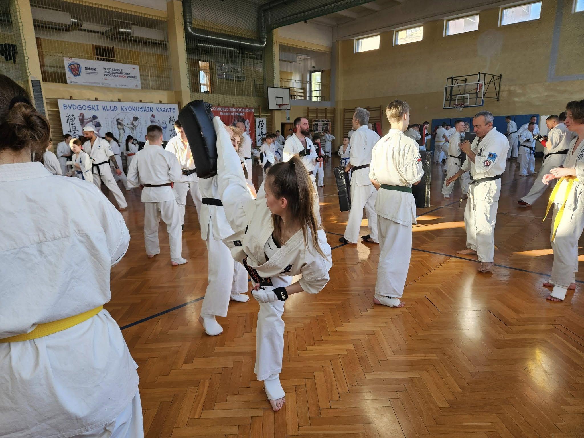 Zdj. nr. 4. Seminarium kumite Karate Kyokushin - 22 lutego 2025 r., Bydgoszcz