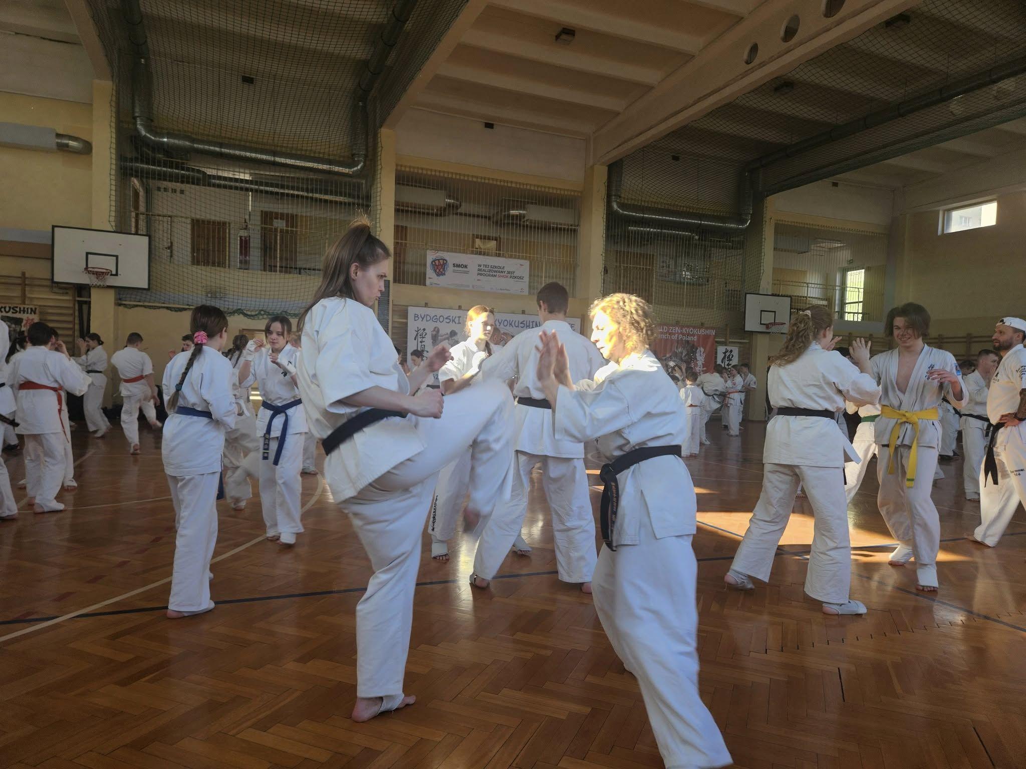 Zdj. nr. 6. Seminarium kumite Karate Kyokushin - 22 lutego 2025 r., Bydgoszcz