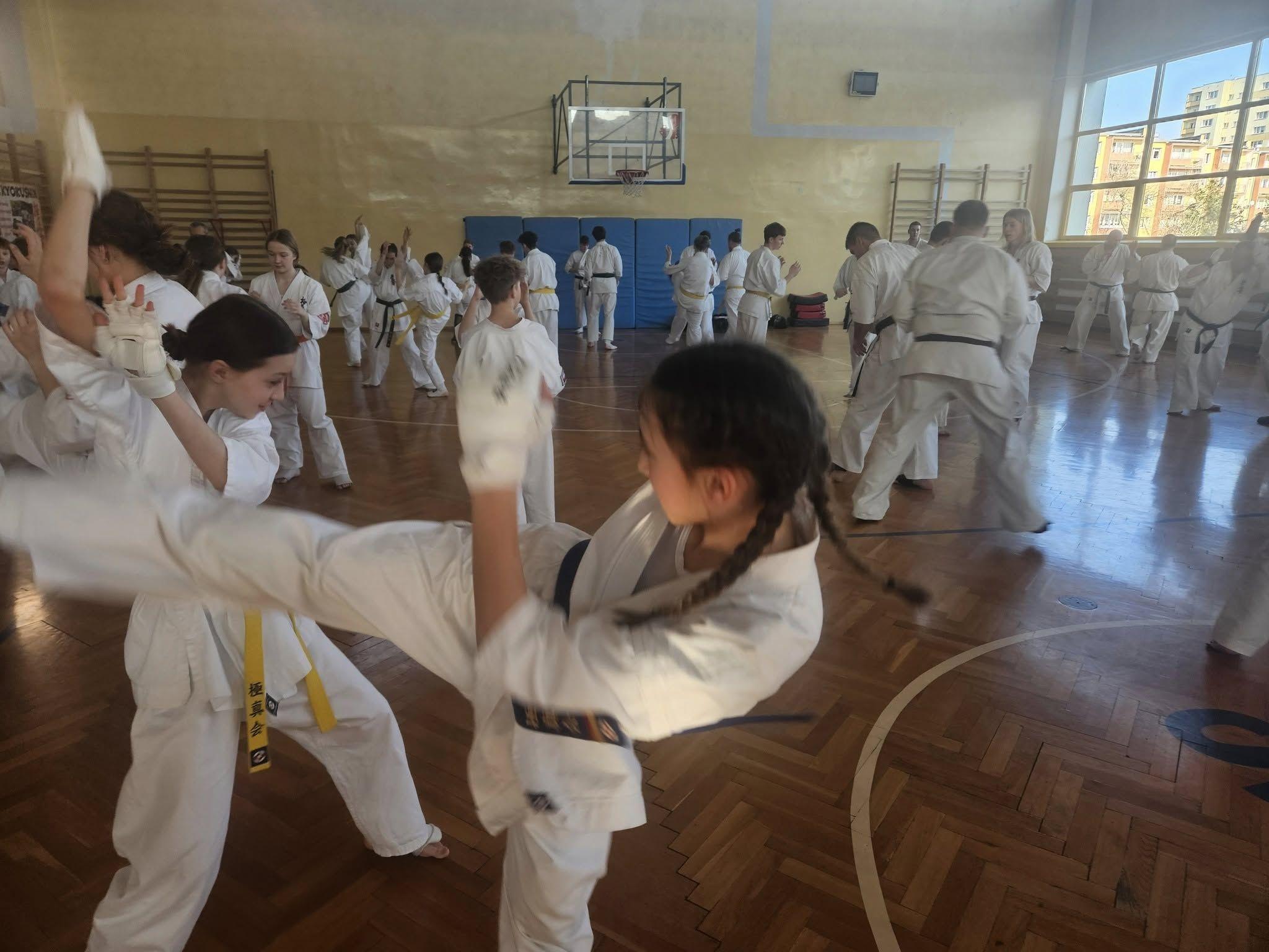 Zdj. nr. 7. Seminarium kumite Karate Kyokushin - 22 lutego 2025 r., Bydgoszcz