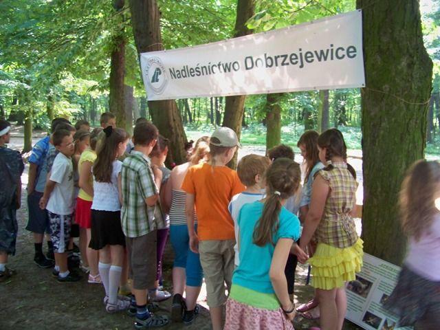 Dzień Kasztanowca 2011