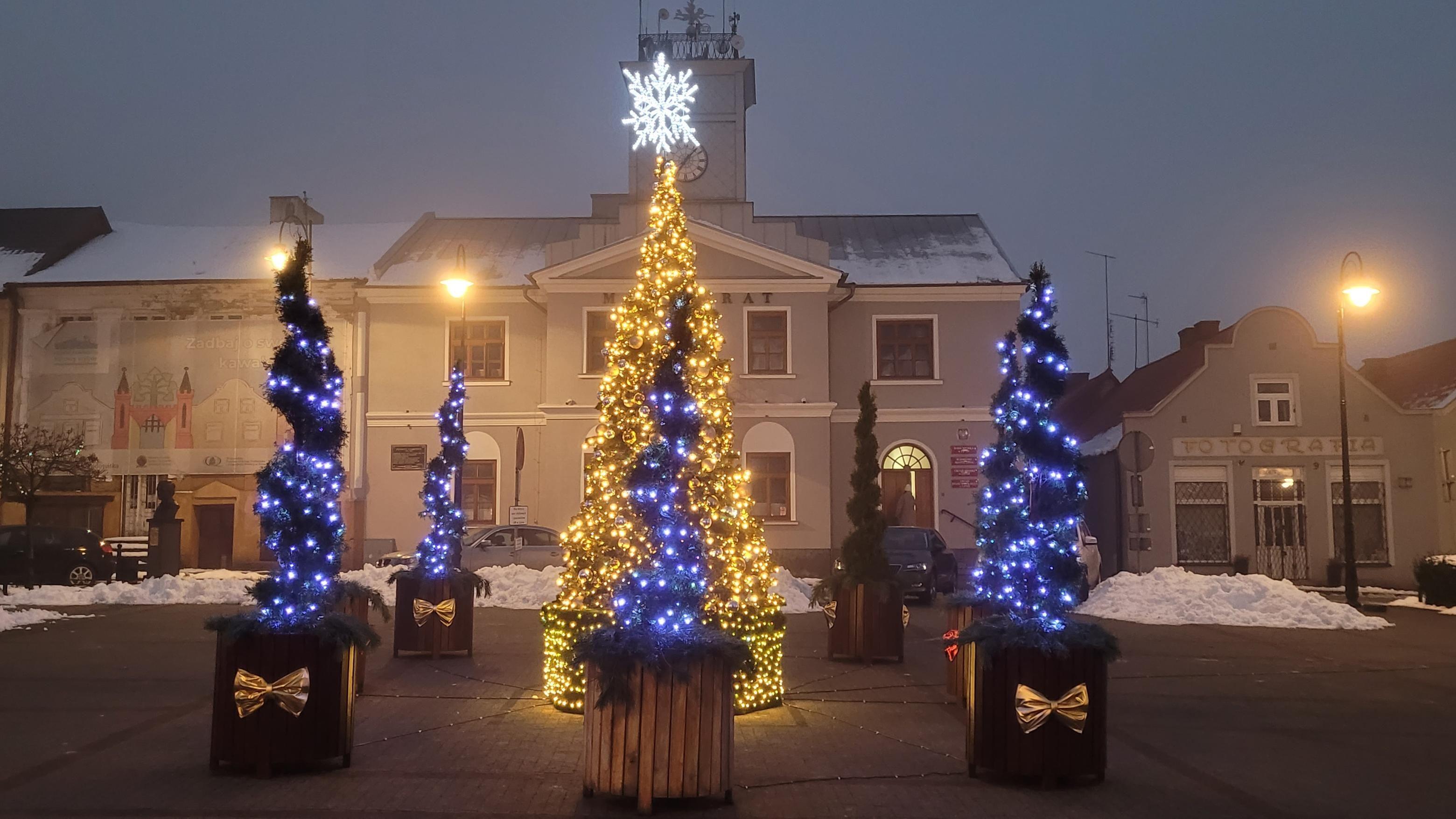Zdj. nr. 3. Choinka na Placu Dekerta - 2 grudnia 2025 r.