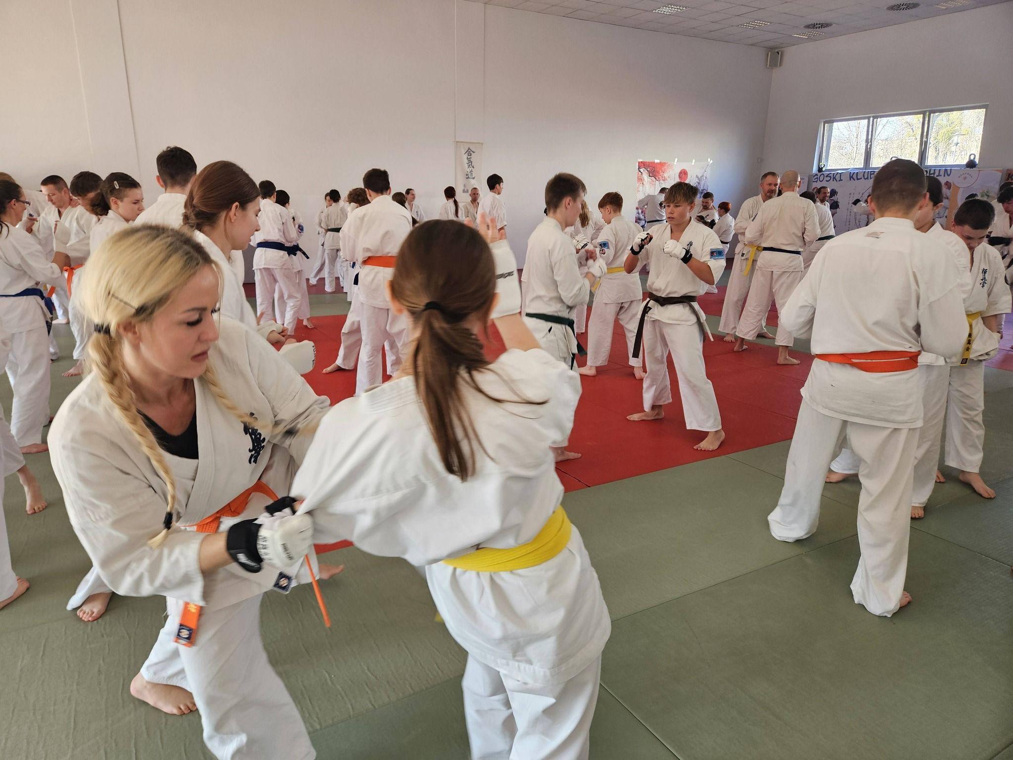 Zdj. nr. 6. Seminarium kumite - Karate Kyokushin w Bydgoszczy - 28 lutego 2026 r.