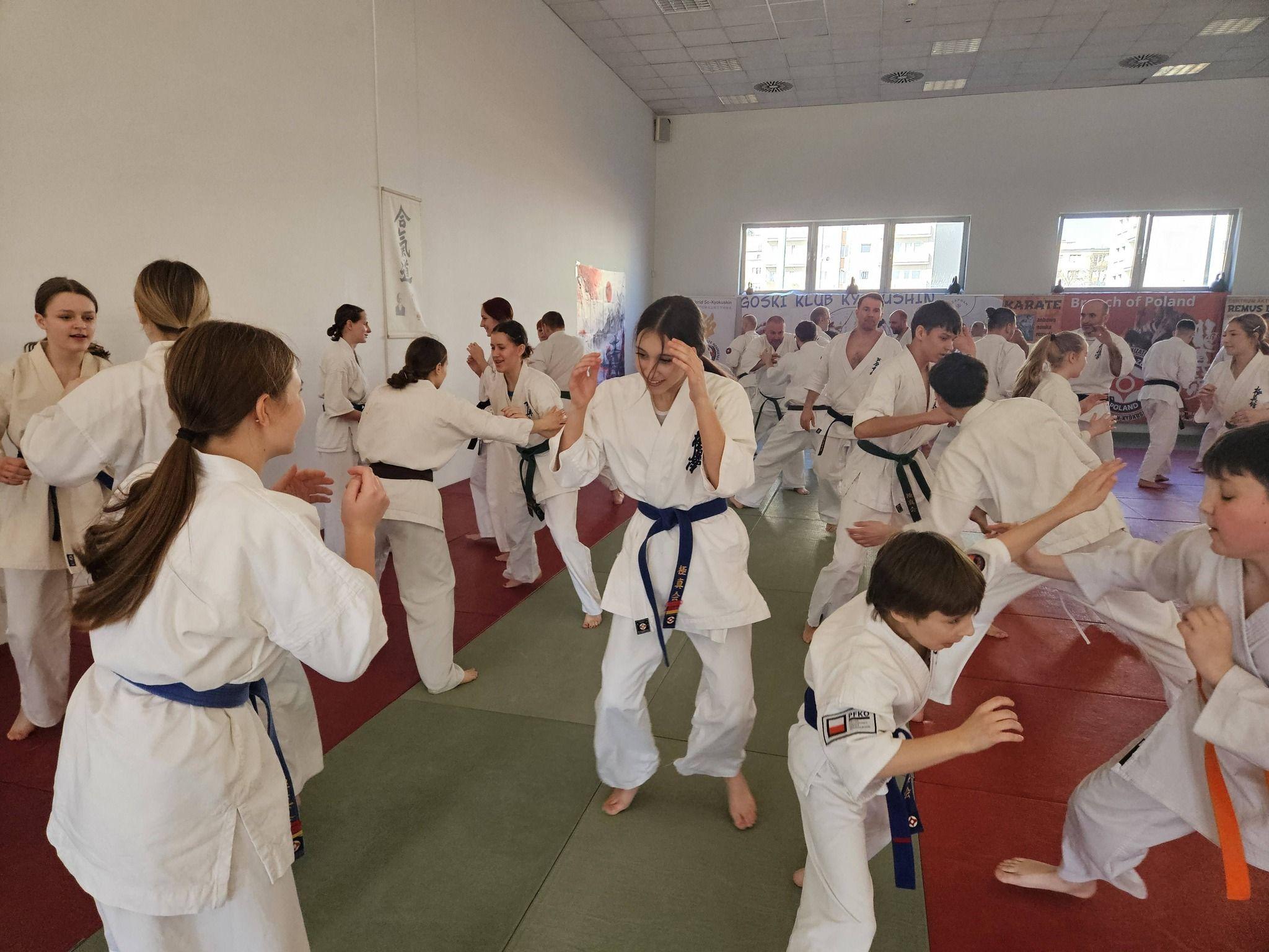 Zdj. nr. 7. Seminarium kumite - Karate Kyokushin w Bydgoszczy - 28 lutego 2026 r.
