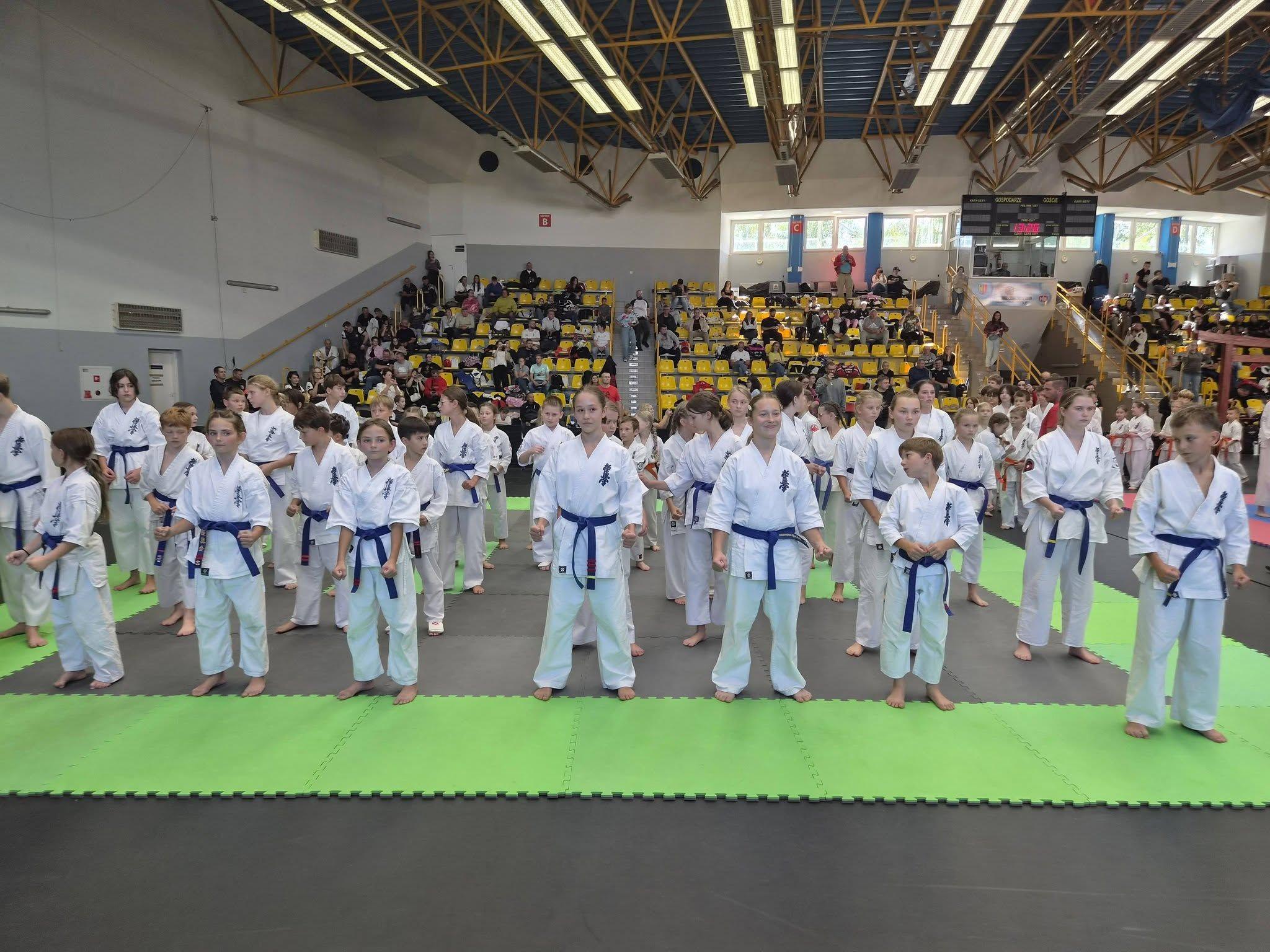 Zdj. nr. 6. Ogólnopolski Turniej Karate Kyokushin SATRI CUP - 26 września 2026 r., Żory